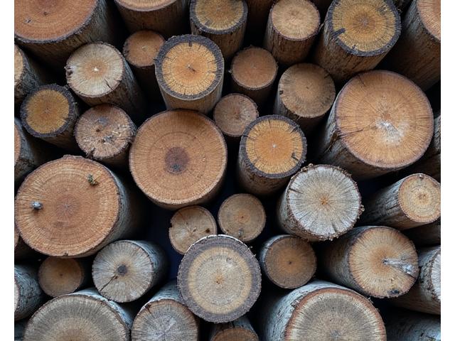 Stacked reclaimed timber logs